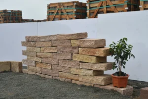 Modak (Wall) (9)