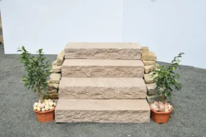 Brown Steps