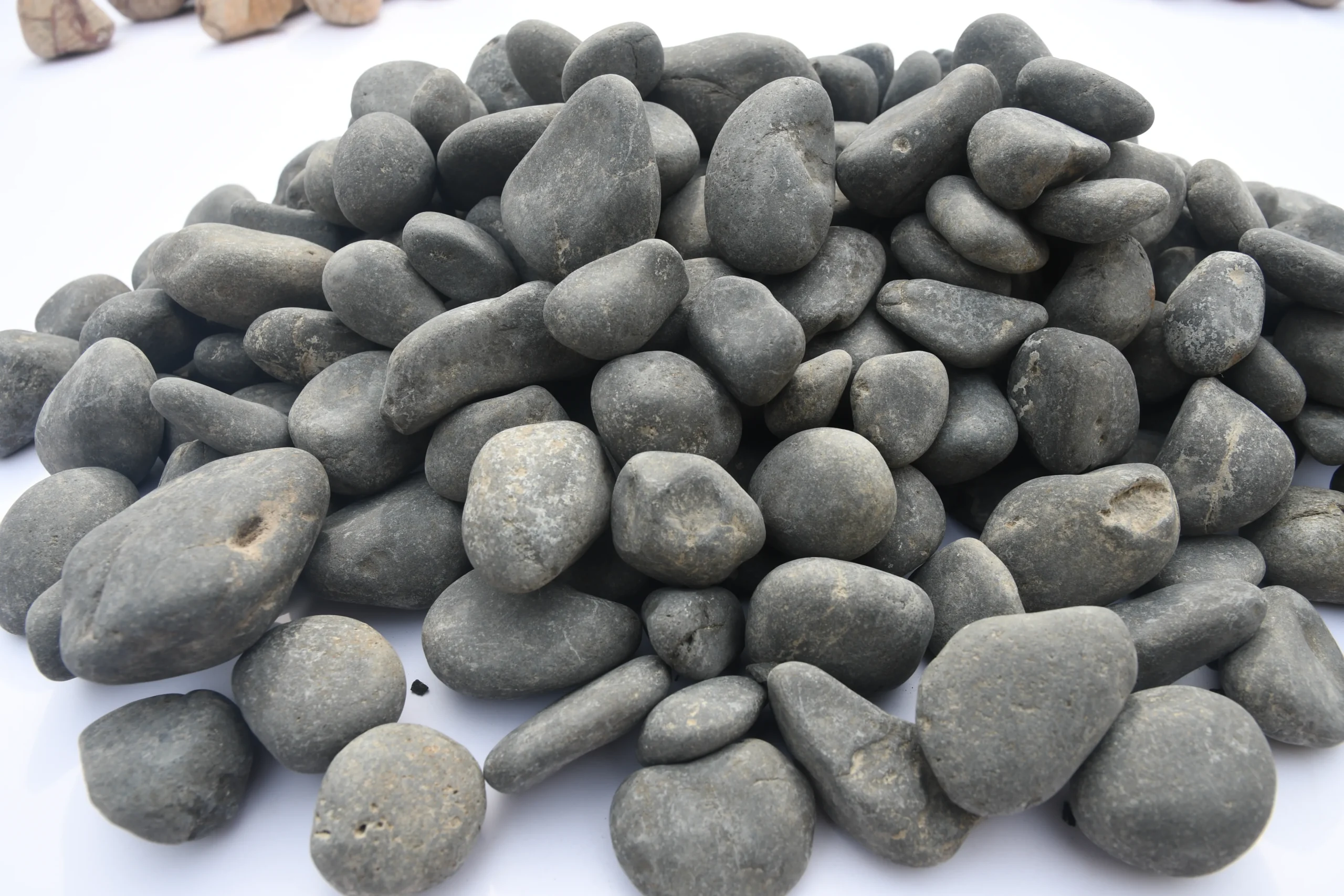 Chittoor Black Pebbles