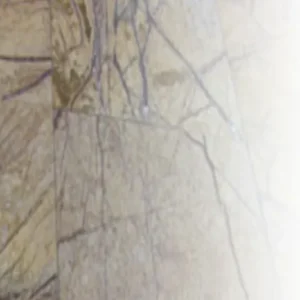 Left Side