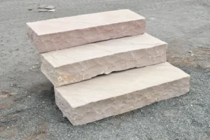 Modak Steps