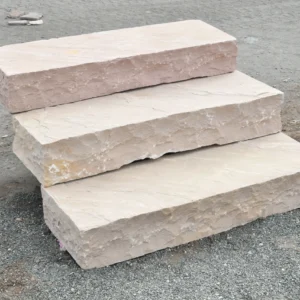 Modak Steps