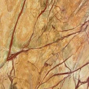 Rain Forest Gold
