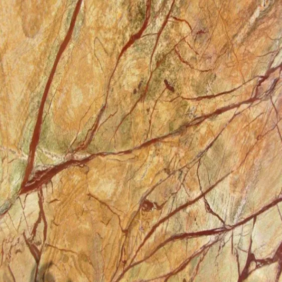 Rain Forest Gold