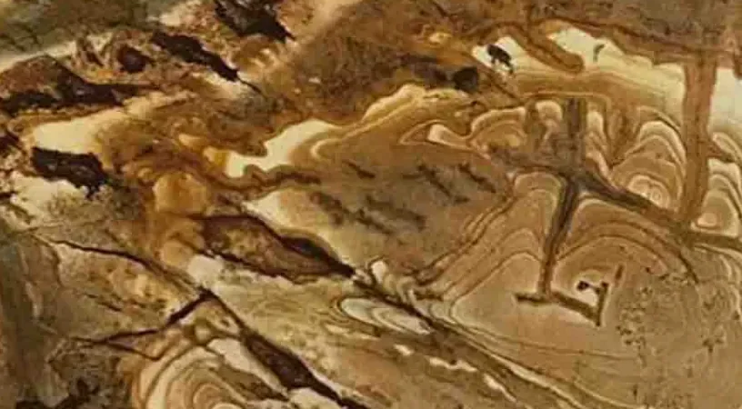 palomino granite